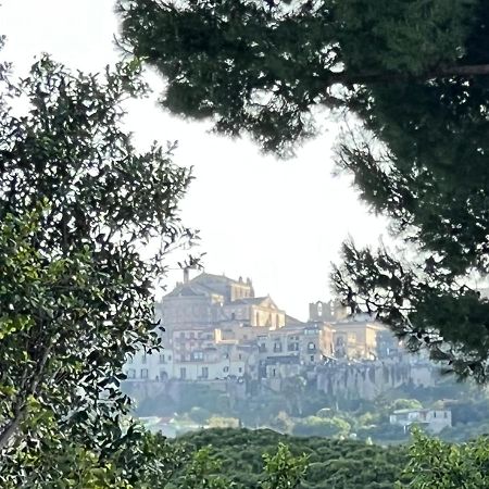 הוילה פלרמו House Corso Calatafimi מראה חיצוני תמונה