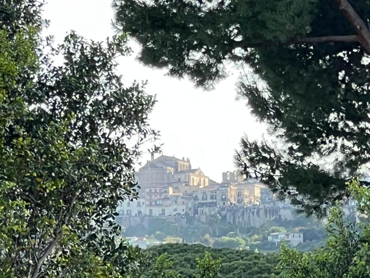 הוילה פלרמו House Corso Calatafimi מראה חיצוני תמונה
